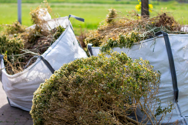 Best Attic Cleanout Services  in Windsor, CO