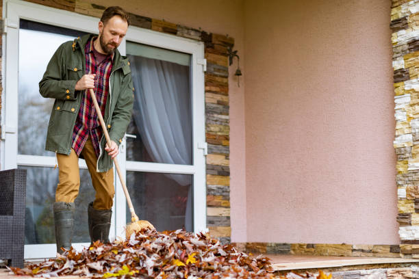Best Appliance Removal Near Me  in Windsor, CO