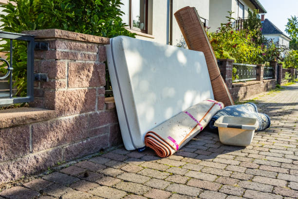 Best Junk Hauling Services  in Windsor, CO