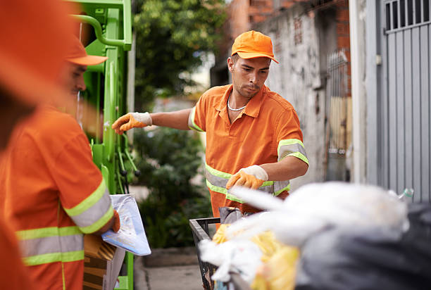 Best Household Junk Removal  in Windsor, CO